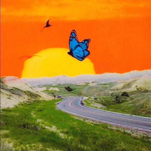 Meet your Posher, Andrew - Picture 1 of 1